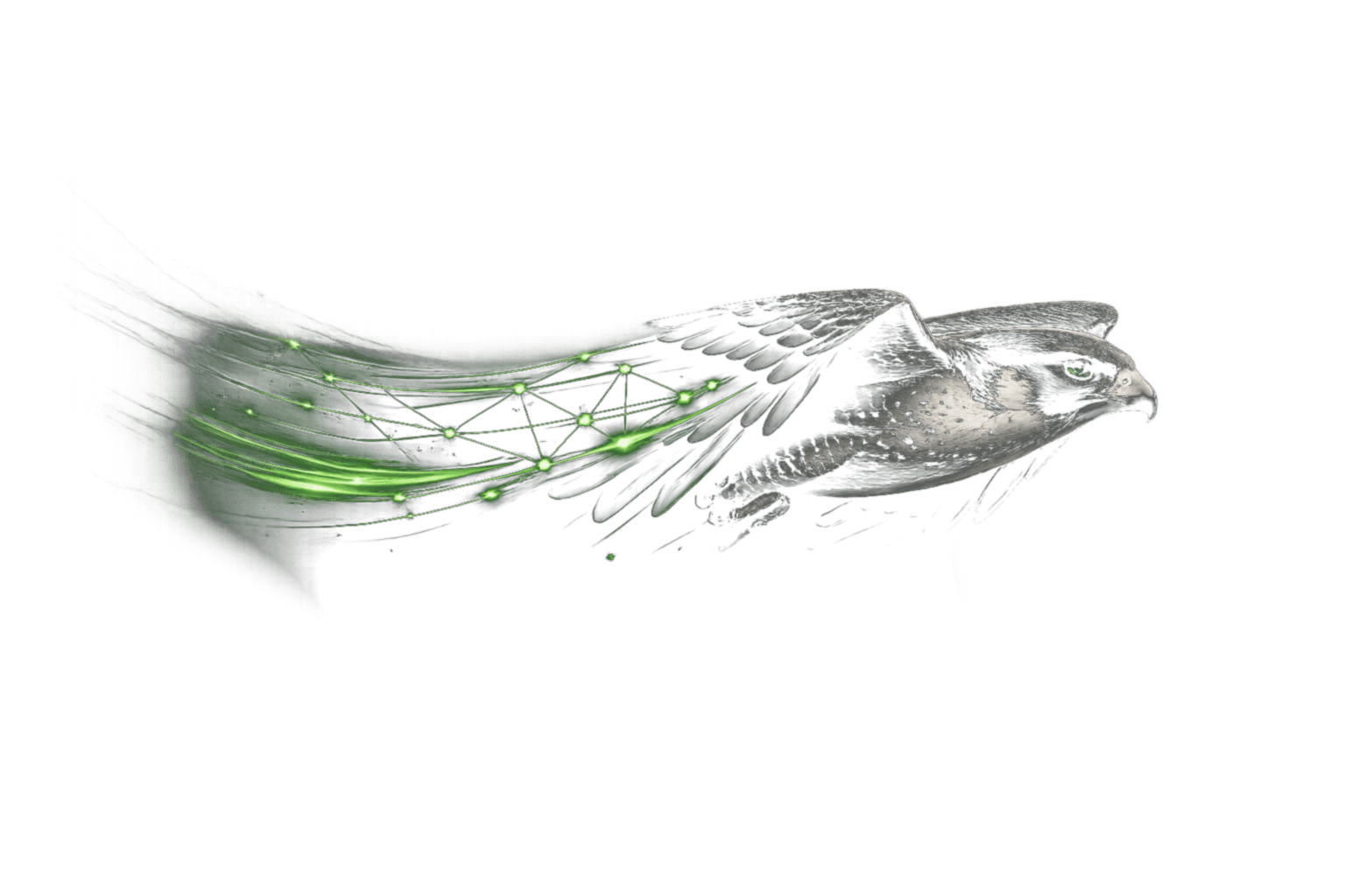 Falcon Intelligence - AI-powered supply chain optimization with real-time tracking