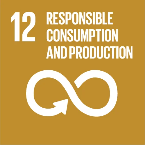UN SDG 12: Responsible Consumption and Production