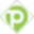 paliotsolutions.com-logo